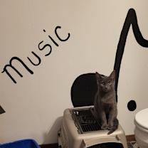 Thumbnail photo of Ember (Music) #2