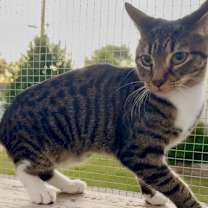 Thumbnail photo of Merry #2