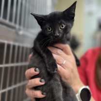 Thumbnail photo of Jordan #2