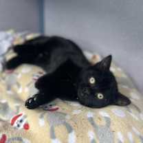 Thumbnail photo of Cristiano #2