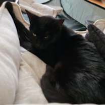 Thumbnail photo of Tilly Stanton #3