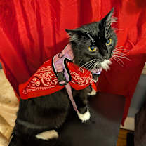 Thumbnail photo of Oatmeal #2