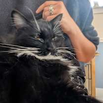 Thumbnail photo of Oatmeal #3