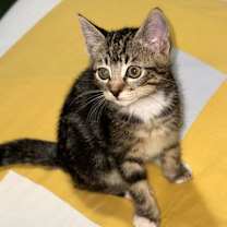 Thumbnail photo of Flower #2