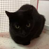 Thumbnail photo of Mary #1