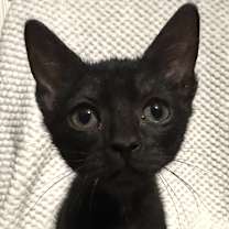 Thumbnail photo of Mary #2