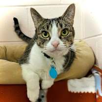 Thumbnail photo of Pepper #1