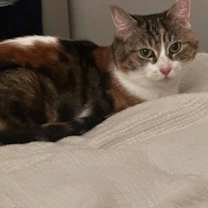 Thumbnail photo of Masie #4