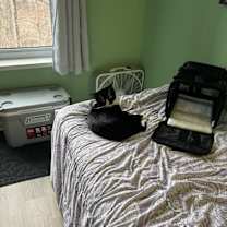 Thumbnail photo of Watson #3