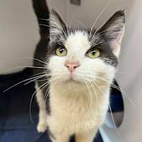 Thumbnail photo of McClusky #1