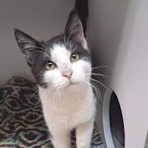 Thumbnail photo of McClusky #2