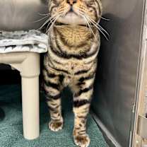 Thumbnail photo of Jumanji #2