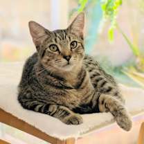 Thumbnail photo of Parker #1