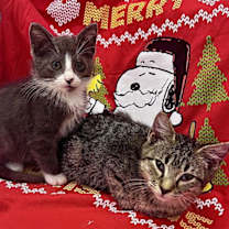 Thumbnail photo of KC #4