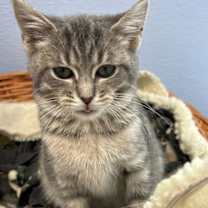 Thumbnail photo of Jackie #1