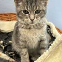 Thumbnail photo of Jackie #2