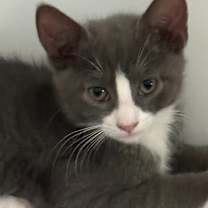 Thumbnail photo of Jelly #1