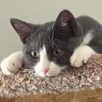 Thumbnail photo of Jelly #2