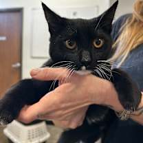 Thumbnail photo of Miguel #2