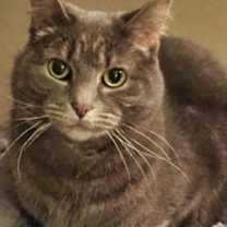 Thumbnail photo of Lillie #2