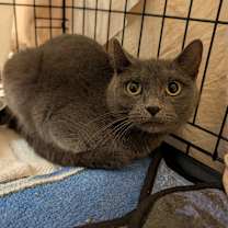 Thumbnail photo of Mumsy #1