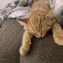 Thumbnail photo of Neptune #3