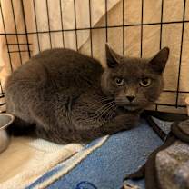 Thumbnail photo of Mumsy #2