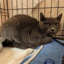 Thumbnail photo of Mumsy #3