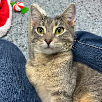 Thumbnail photo of Splash 27224 #1