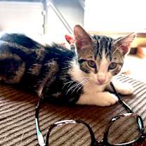 Thumbnail photo of Tchula #3