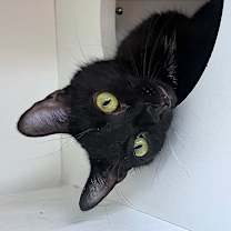 Thumbnail photo of Esther #1