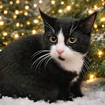 Thumbnail photo of DUSTIN #1