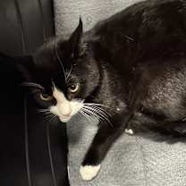 Thumbnail photo of DUSTIN #2