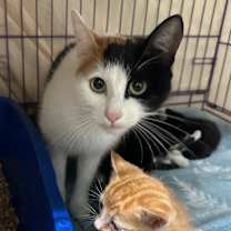 Thumbnail photo of Peanut #2