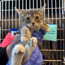 Thumbnail photo of Cindy Lou #2