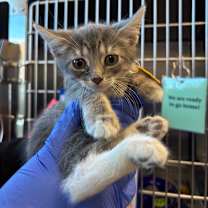 Thumbnail photo of Cindy Lou #3