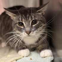 Thumbnail photo of Bb: Larissa #1