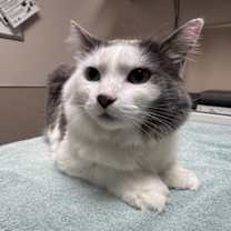 Thumbnail photo of Charlotte #1