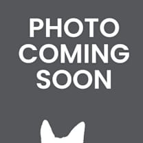 Thumbnail photo of Mikaela #2