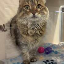 Thumbnail photo of Tiana #3