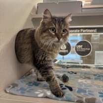 Thumbnail photo of Tiana #4