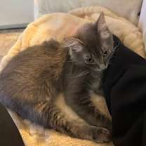 Thumbnail photo of Modem & Gustave #4