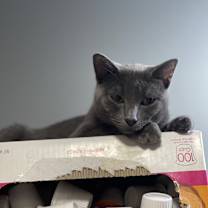 Thumbnail photo of Luna #1