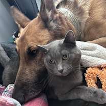 Thumbnail photo of Luna #2