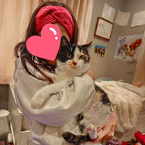 Thumbnail photo of Whipperwill #3