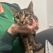 Thumbnail photo of Destiny #2