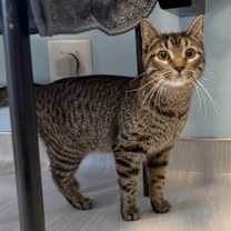 Thumbnail photo of Destiny #3