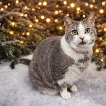 Thumbnail photo of BUFFY #1