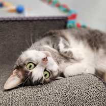 Thumbnail photo of BUFFY #3