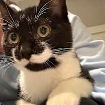 Thumbnail photo of Rubyn #2